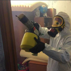 Уничтожение клопов в квартире. Студенческая